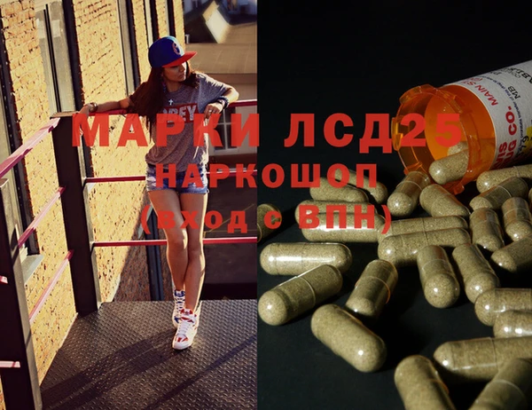 гашик Наволоки